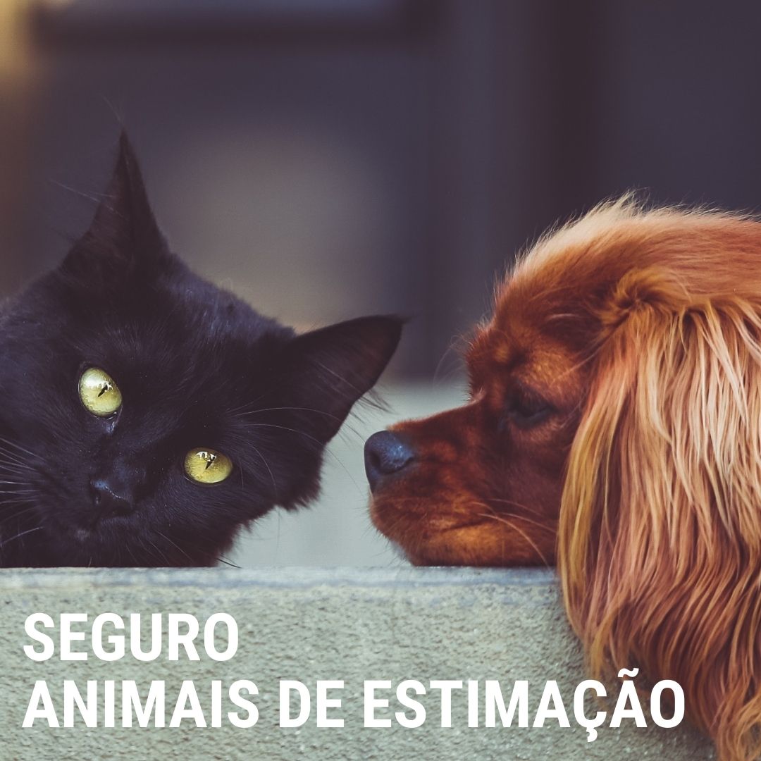 Seguro Animais de Estimação