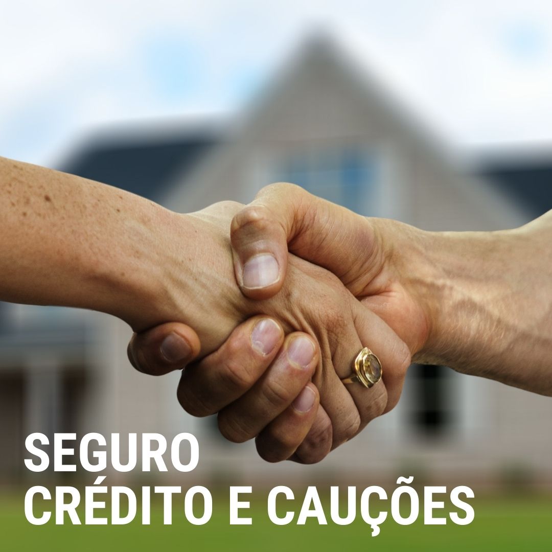 Seguro Crédito e Cauções
