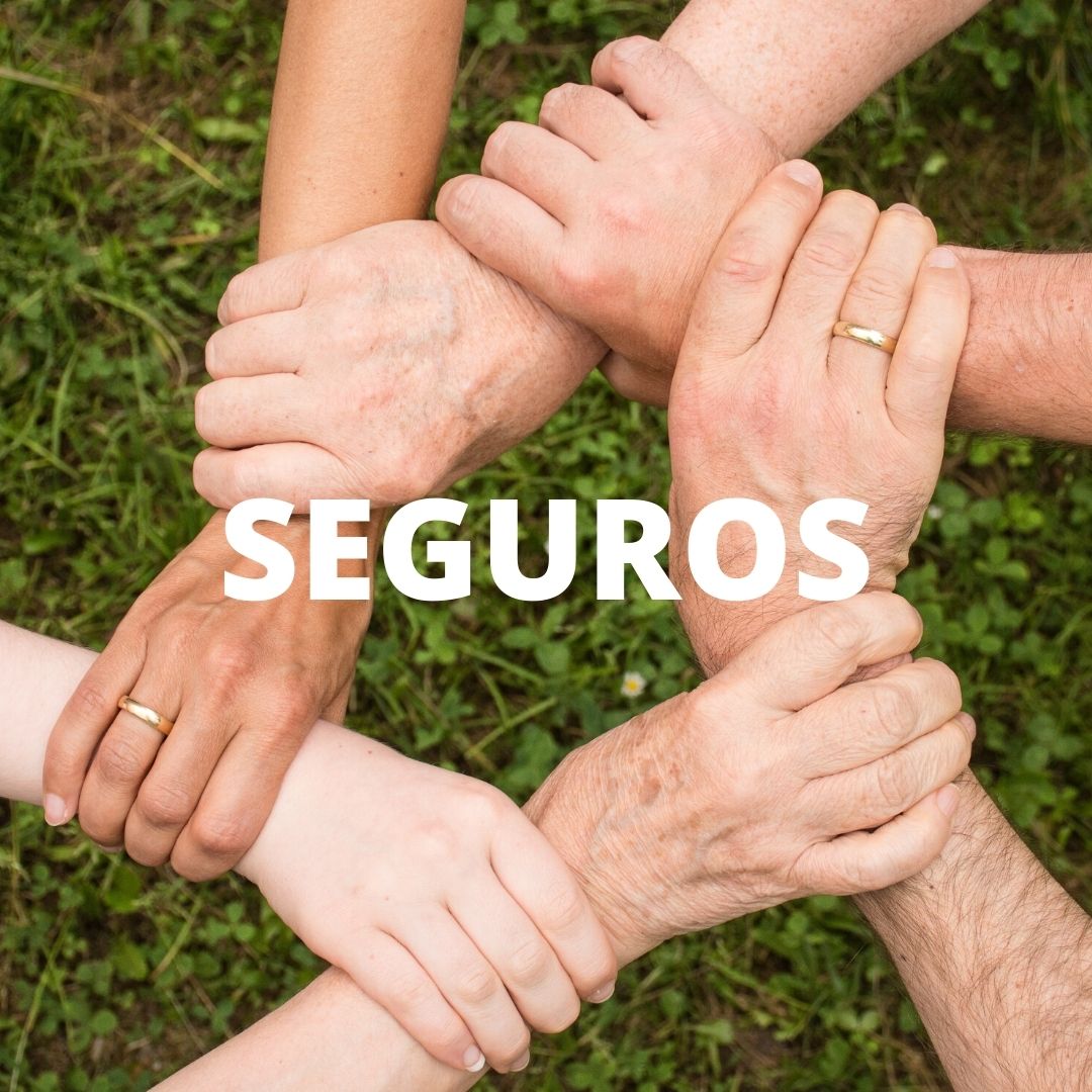 Seguros